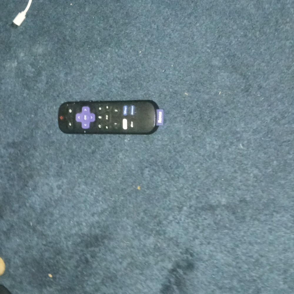 Roku remote with voice commands